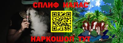 дмт Гай