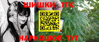 дмт Гай