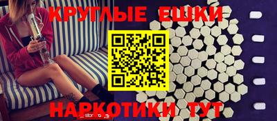 дмт Гай