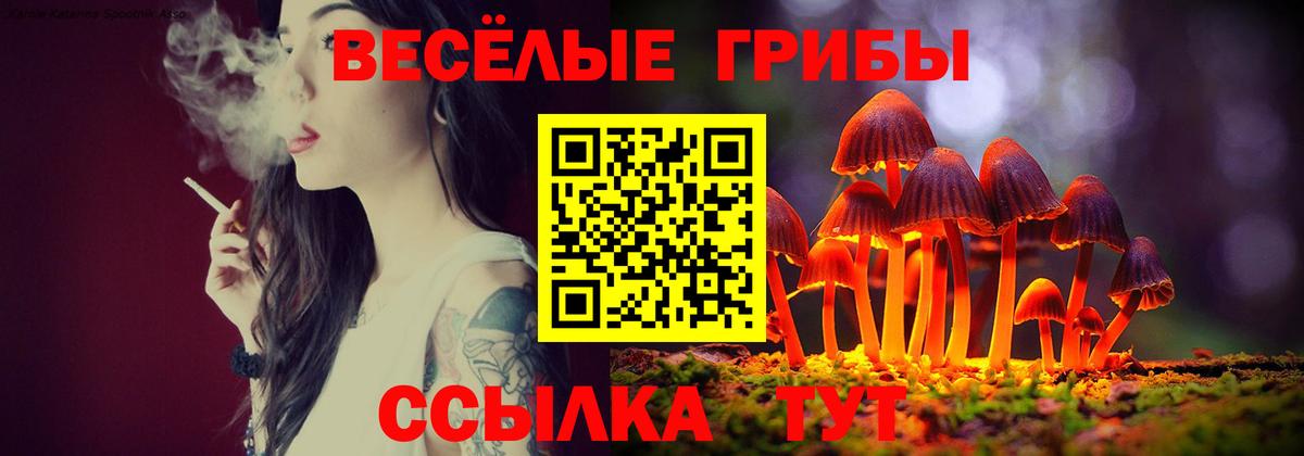 Псилоцибиновые грибы GOLDEN TEACHER Надым